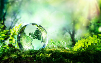 Five ways the print industry can apply circular economy principles