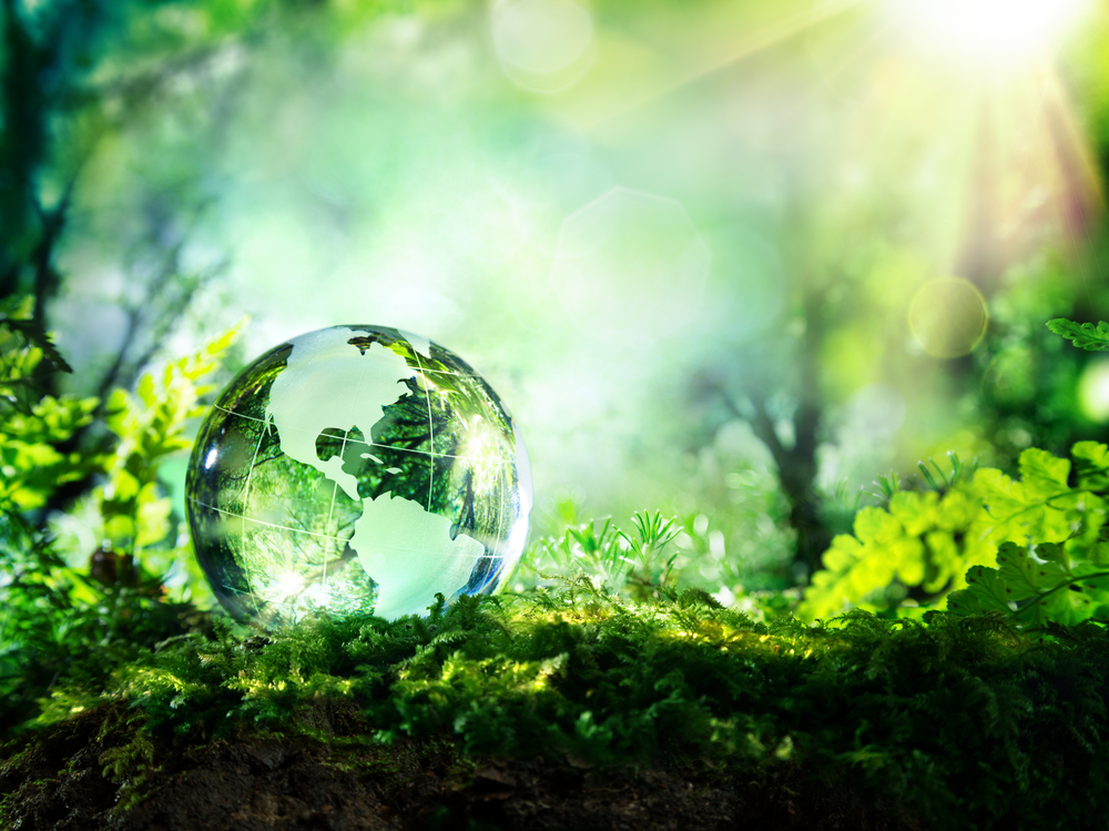 The Print Sustainability Imperative