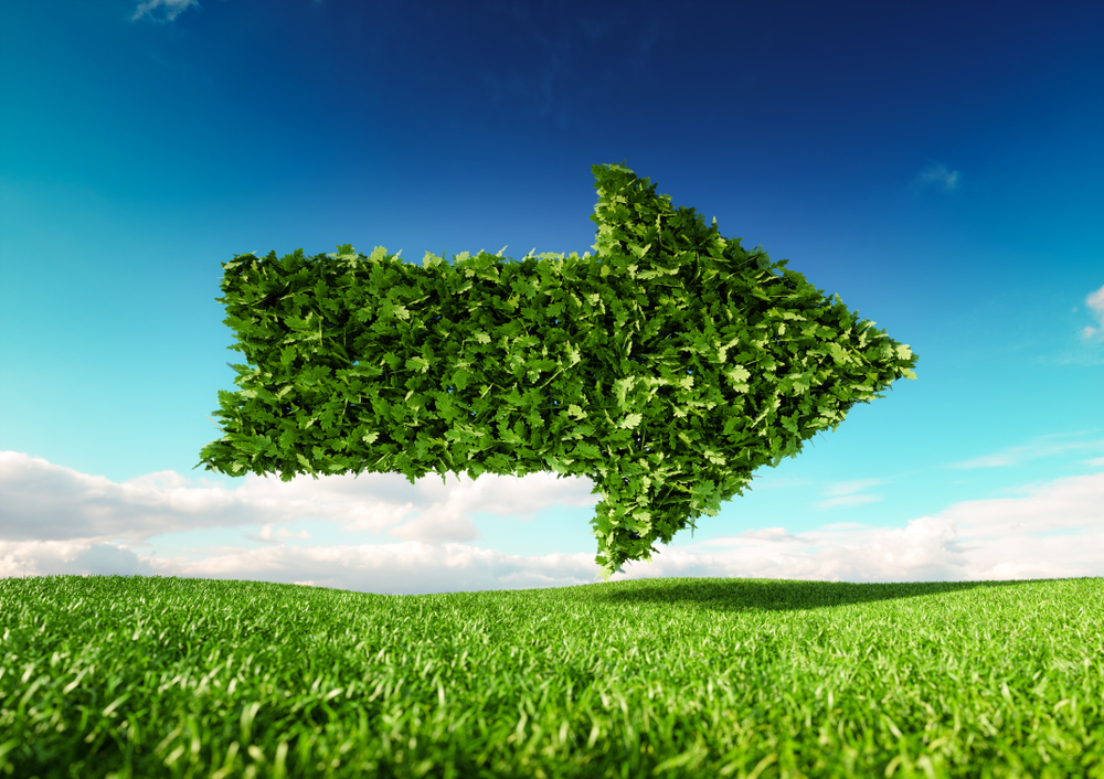 Print sustainability leaders forge ahead with ambitious goals and enhanced customer offerings