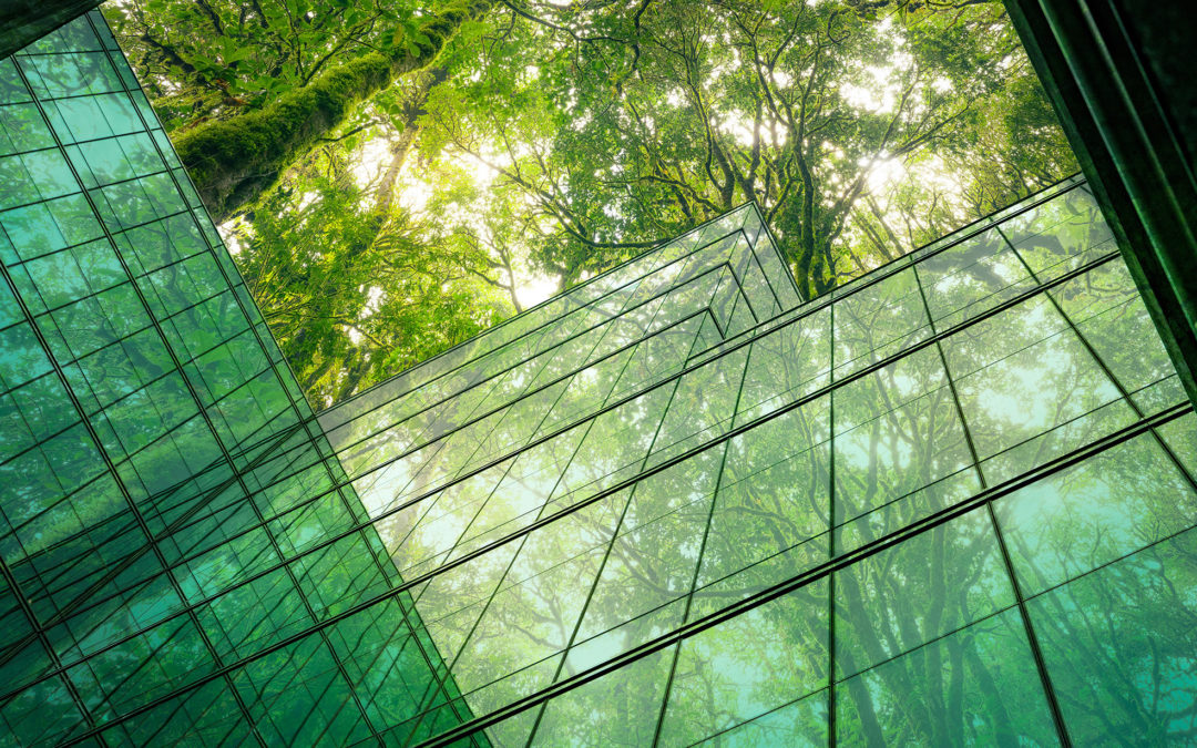 Print Environmental Data Gap Hinders Progress Towards Corporate Sustainability Targets