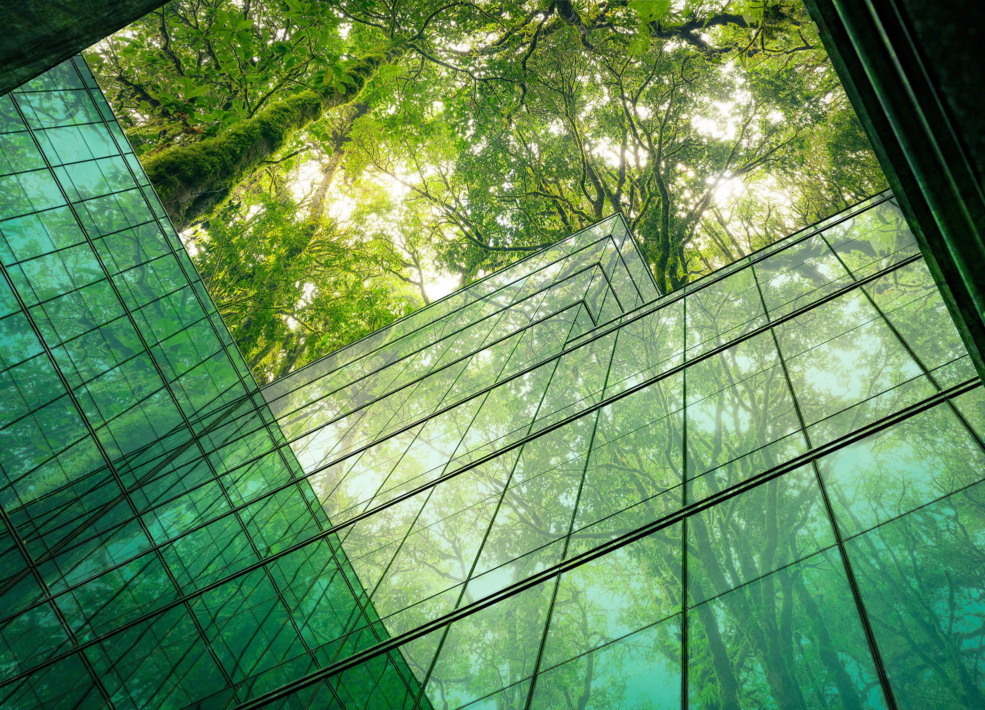 Print Environmental Data Gap Hinders Progress Towards Corporate Sustainability Targets